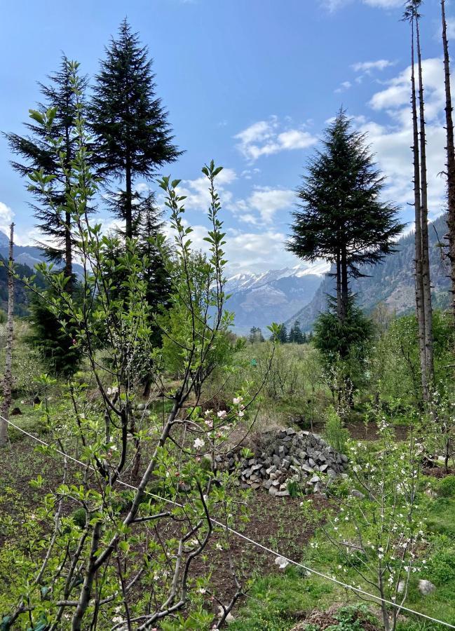 Getaway Stays Manali Exterior photo